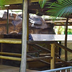 Otter Enclosure - Under Renovation