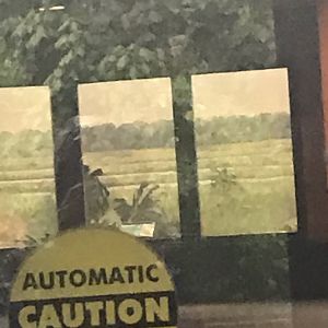 Philly-inside look of reptile house