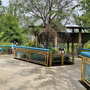 Elephant Springs - Guest Walkway