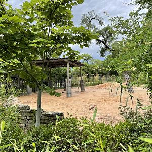 Elephant Springs - North Habitat