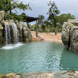 Elephant Springs - North Habitat