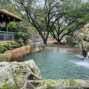 Elephant Springs - Indian Rhinoceros Pool