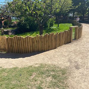 Tortoise outdoor extension