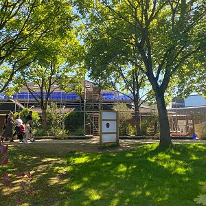 Building work on the old, newer chimp enclosure