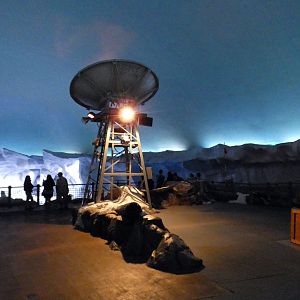 May. 2021 - Wild Arctic - First View