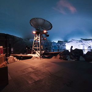 May. 2021 - Wild Arctic - First View