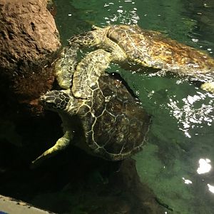 Behind the Scenes 2019