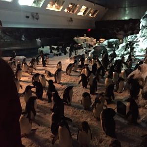 Behind the Scenes 2019