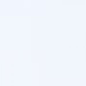 Sea lion larger pool