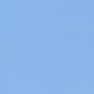 Sea lion larger pool