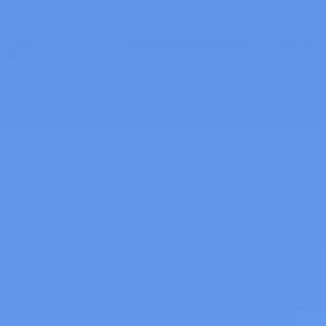 Sea lion smaller pool