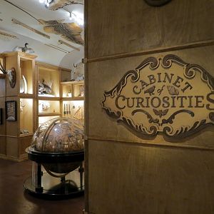Cabinet Of Curiosities