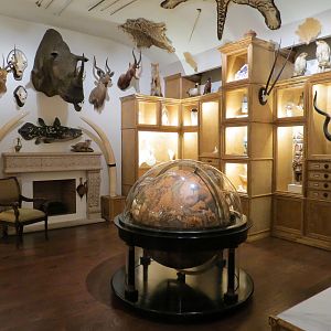 Cabinet Of Curiosities