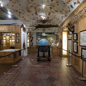 Cabinet Of Curiosities