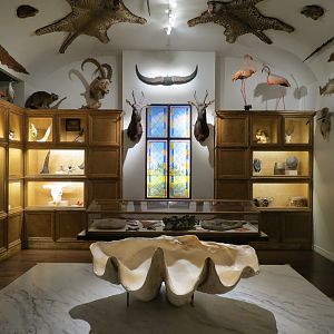 Cabinet Of Curiosities