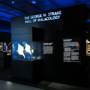 Hall Of Malacology