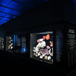 Hall Of Malacology