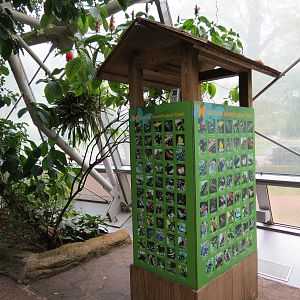 Butterfly Center