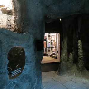 Butterfly Center - Blind Cave Fish Exhibit