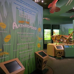 Hall of Entomology