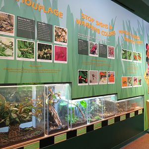 Hall of Entomology