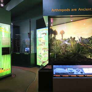 Hall of Entomology
