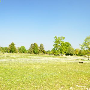 White Rhinoceros Enclosure