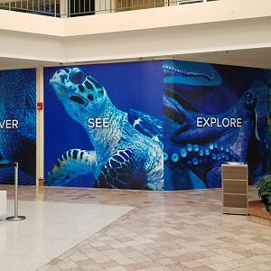 SeaQuest Woodbridge - Signage outside of store