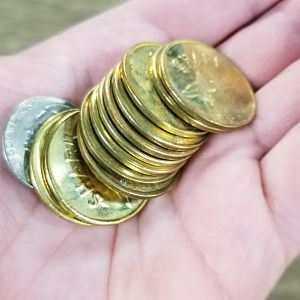 SeaQuest Woodbridge - Coins