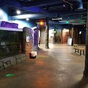 SeaQuest Woodbridge - First room