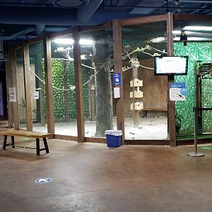 SeaQuest Woodbridge - Budgies and toco toucan