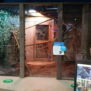 SeaQuest Woodbridge - Sloth