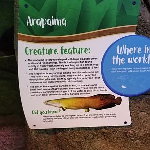 SeaQuest Woodbridge - Signage example