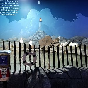 SeaQuest Woodbridge - Pekin ducks