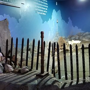 SeaQuest Woodbridge - Pekin ducks