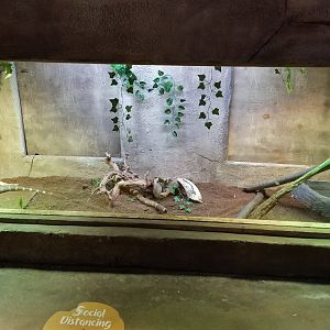 SeaQuest Woodbridge - Unsigned monitor