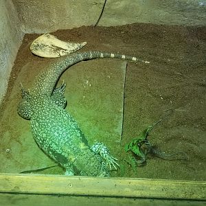 SeaQuest Woodbridge - Unsigned monitor