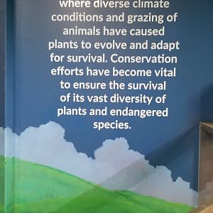 SeaQuest Woodbridge - Fifth room sign