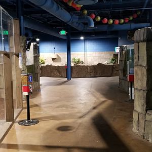 SeaQuest Woodbridge - Sixth room, otters on left, green moray on right, koi ahead