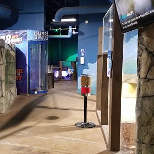 SeaQuest Woodbridge - Looking back to fifth room, otters on right