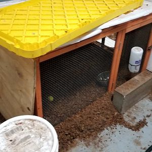 SeaQuest Woodbridge - Otter night house