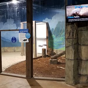 SeaQuest Woodbridge - Otters