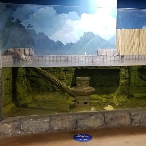 SeaQuest Woodbridge - Otters