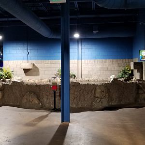 SeaQuest Woodbridge - Carp tank