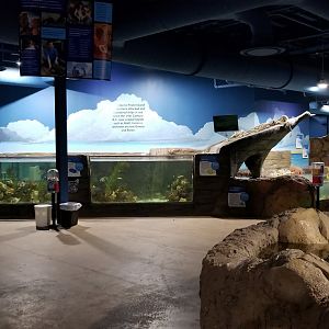 SeaQuest Woodbridge - Tropical tank, ray tanks to the right