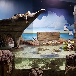 SeaQuest Woodbridge - Small shark tank