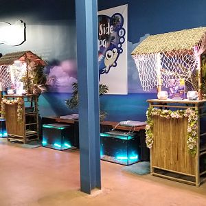 SeaQuest Woodbridge - Fish foot spa area