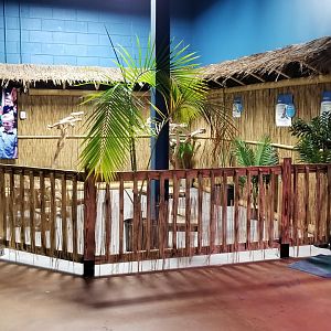 SeaQuest Woodbridge - Parrot/macaw area