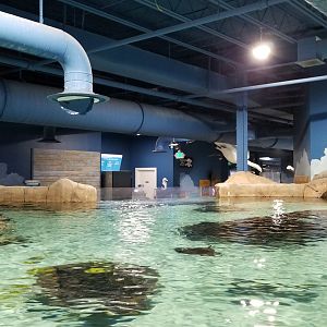 SeaQuest Woodbridge - Largest tank