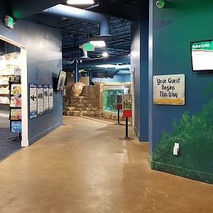 SeaQuest Woodbridge - End of loop, looking at entrance (left) and largest tank